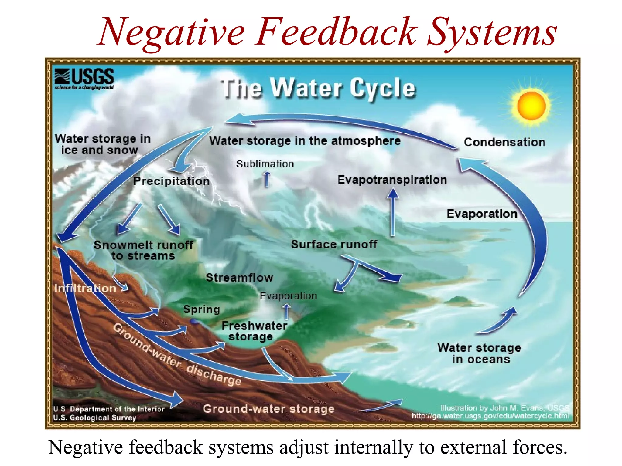 Negative Feedback Systems
Negative feedback systems adjust internally to external forces.
 