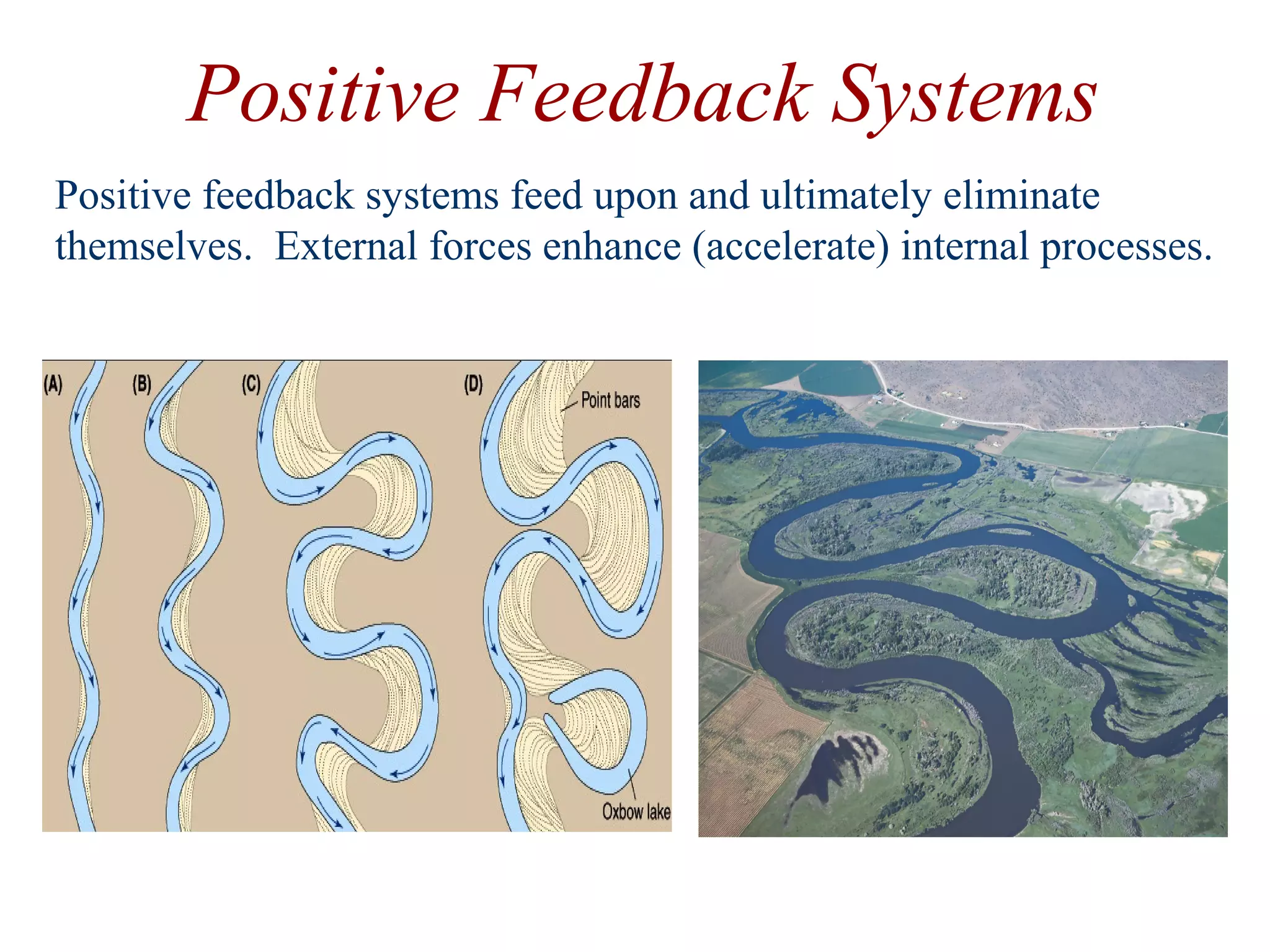 Positive Feedback Systems
Positive feedback systems feed upon and ultimately eliminate
themselves. External forces enhance (accelerate) internal processes.
 