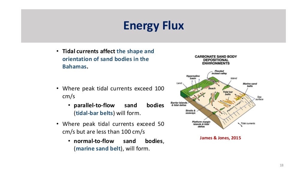 Geology of the Bahamas II