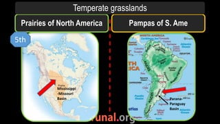 Prairies of North America Pampas of S. Ame
Temperate grasslands
5th
Mississippi
-Missouri
Basin Parana-
Paraguay
Basin
 