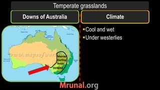 Downs of Australia Climate
Temperate grasslands
DOWNS
Murray-
Darling
Basin
Cool and wet
Under westerlies
 