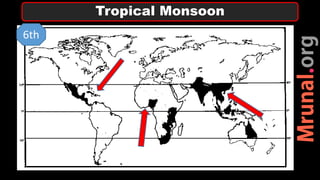 Tropical Monsoon
6th
 