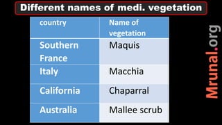 Different names of medi. vegetation
country Name of
vegetation
Southern
France
Maquis
Italy Macchia
California Chaparral
Australia Mallee scrub
 