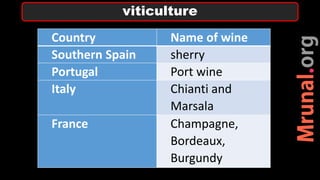 Country Name of wine
Southern Spain sherry
Portugal Port wine
Italy Chianti and
Marsala
France Champagne,
Bordeaux,
Burgundy
viticulture
 