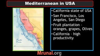 •California state of USA
•San Francisco, Los
Angeles, San Diego
•Fruit plantation –
oranges, grapes, Olives
•California – high
productivity
Mediterranean in USA
 