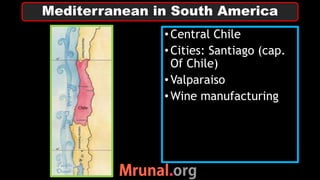 •Central Chile
•Cities: Santiago (cap.
Of Chile)
•Valparaiso
•Wine manufacturing
Mediterranean in South America
 