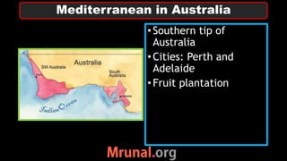•Southern tip of
Australia
•Cities: Perth and
Adelaide
•Fruit plantation
Mediterranean in Australia
 