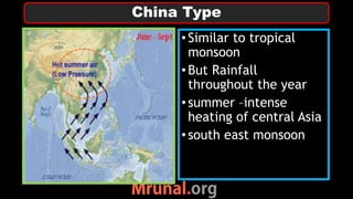 •Similar to tropical
monsoon
•But Rainfall
throughout the year
•summer –intense
heating of central Asia
•south east monsoon
China Type
 