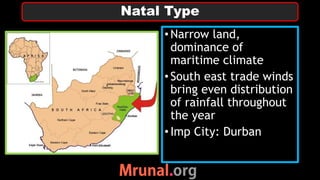 •Narrow land,
dominance of
maritime climate
•South east trade winds
bring even distribution
of rainfall throughout
the year
•Imp City: Durban
Natal Type
 