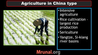 •Intensive
agriculture
•Rice cultivation –
largest rice
production
•Sericulture
•Yangtze, Si-kiang
river basins
Agriculture in China type
 