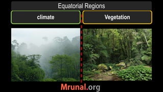 climate Vegetation
Equatorial Regions
 