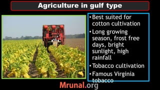 •Best suited for
cotton cultivation
•Long growing
season, frost free
days, bright
sunlight, high
rainfall
•Tobacco cultivation
•Famous Virginia
tobacco
Agriculture in gulf type
 