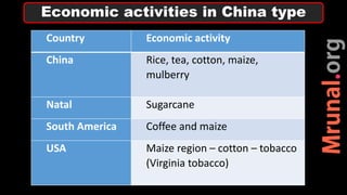 Country Economic activity
China Rice, tea, cotton, maize,
mulberry
Natal Sugarcane
South America Coffee and maize
USA Maize region – cotton – tobacco
(Virginia tobacco)
Economic activities in China type
 