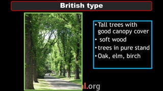 •Tall trees with
good canopy cover
• soft wood
•trees in pure stand
•Oak, elm, birch
British type
 