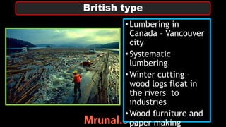 •Lumbering in
Canada – Vancouver
city
•Systematic
lumbering
•Winter cutting –
wood logs float in
the rivers to
industries
•Wood furniture and
paper making
British type
 