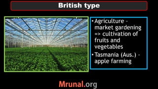 •Agriculture –
market gardening
=> cultivation of
fruits and
vegetables
•Tasmania (Aus.) –
apple farming
British type
 