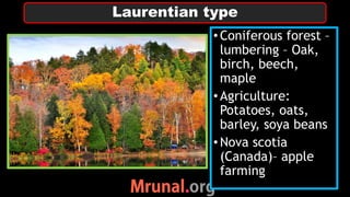 • Coniferous forest –
lumbering – Oak,
birch, beech,
maple
• Agriculture:
Potatoes, oats,
barley, soya beans
• Nova scotia
(Canada)– apple
farming
Laurentian type
 