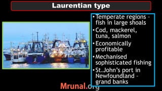 •Temperate regions –
fish in large shoals
•Cod, mackerel,
tuna, salmon
•Economically
profitable
•Mechanised
sophisticated fishing
•St.John’s port in
Newfoundland –
grand banks
Laurentian type
 