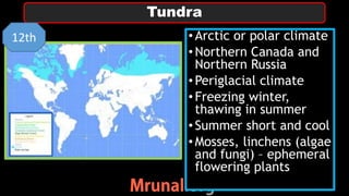 • Arctic or polar climate
• Northern Canada and
Northern Russia
• Periglacial climate
• Freezing winter,
thawing in summer
• Summer short and cool
• Mosses, linchens (algae
and fungi) – ephemeral
flowering plants
Tundra
12th
 