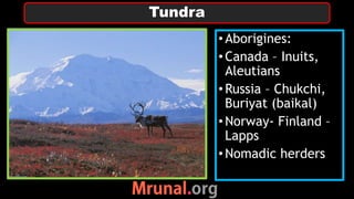 •Aborigines:
•Canada – Inuits,
Aleutians
•Russia – Chukchi,
Buriyat (baikal)
•Norway- Finland –
Lapps
•Nomadic herders
Tundra
 