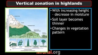 •With increasing height
– decrease in moisture
•Soil layer becomes
thinner
•Changes in vegetation
pattern
Vertical zonation in highlands
 