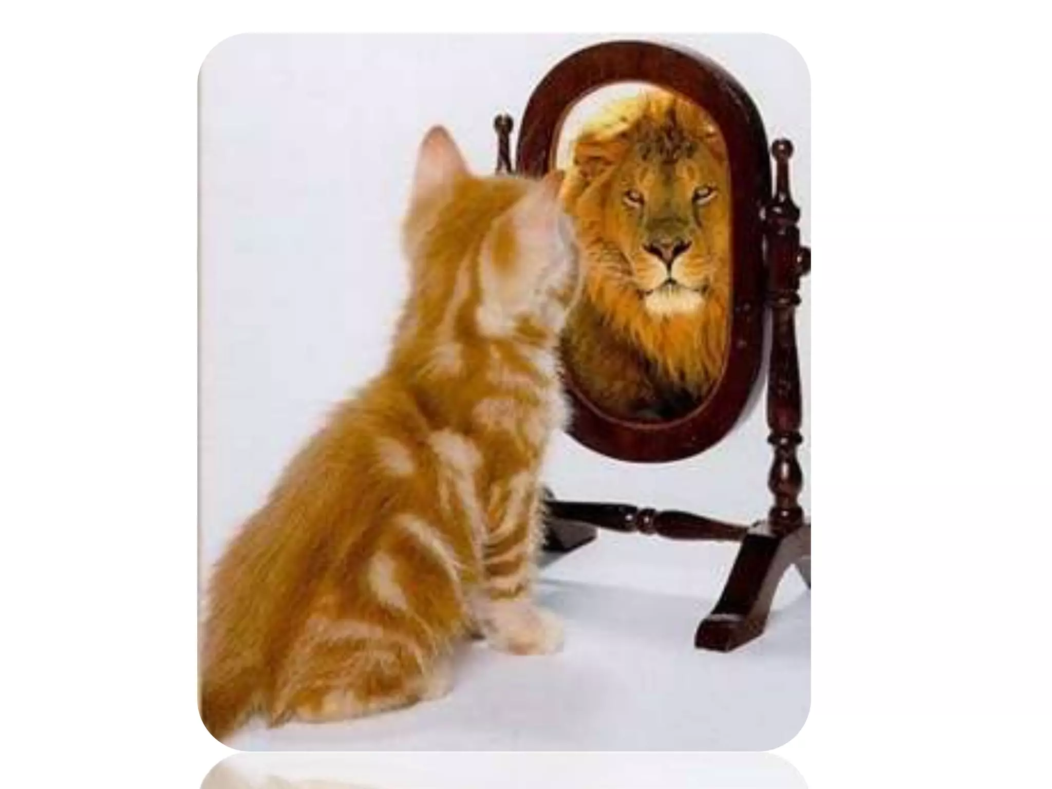 Convergence for Smart Life: Look Around