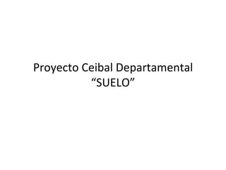 Proyecto Ceibal Departamental
          “SUELO”
 
