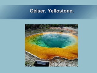 Géiser. Yellostone: 