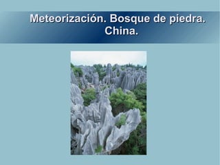 Meteorización. Bosque de piedra. China. 