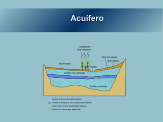 Acuífero 