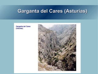 Garganta del Cares (Asturias) 