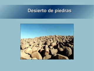 Desierto de piedras  