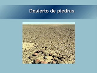 Desierto de piedras 