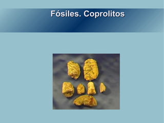Fósiles. Coprolitos 