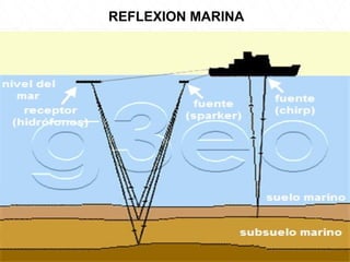 REFLEXION MARINA
 