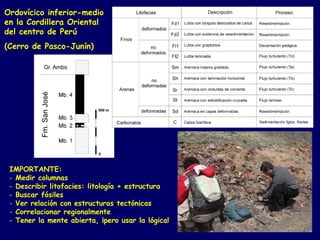 Ordovícico inferior-medio
en la Cordillera Oriental
del centro de Perú
(Cerro de Pasco-Junín)




 IMPORTANTE:
 - Medir columnas
 - Describir litofacies: litología + estructura
 - Buscar fósiles
 - Ver relación con estructuras tectónicas
 - Correlacionar regionalmente
 - Tener la mente abierta, ¡pero usar la lógica!
 
