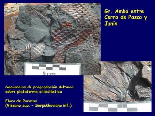 Gr. Ambo entre
                                      Cerro de Pasco y
                                      Junín




Secuencias de progradación deltaica
sobre plataforma siliciclástica

Flora de Paracas
(Viseano sup. – Serpukhoviano inf.)
 