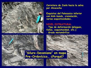 Carretera de Junín hacia la selva
             por Alcacocha

             Esquistos del Paleozoico inferior
             con kink-bands, crenulación,
             varias esquistosidades…

             NIVEL ESTRUCTURAL
             - Tipo de deformación (pliegues,
             fallas, esquistosidad, etc.)
             - Grado metamórfico




“Siluro-Devoniano” en mapa
Pre-Ordovícico… ¿Porqué?
 