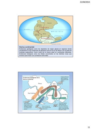 21/04/2013
11
Deriva continental:
Evidencias geológicas como los depósitos de origen glacial en regiones donde
actualmente no hay evidencias de glaciares como en el sur de África o en el oeste de
Australia (paleoclima). Como rocas de la misma edad en continentes diferentes.
Evidencias biológicas como los fósiles encontrados en las distintas rocas que
sirvieron para hacer una correlación entre ellas.
Evidencias biológicas de la
deriva contiental.
 