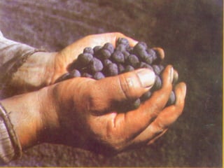 Geología  ii part ecorr