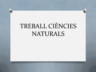 TREBALL CIÈNCIES
NATURALS
 