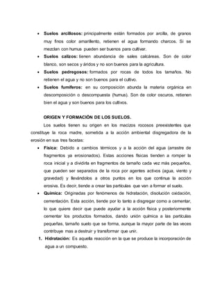  Suelos arcillosos: principalmente están formados por arcilla, de granos
muy finos color amarillento, retienen el agua formando charcos. Si se
mezclan con humus pueden ser buenos para cultivar.
 Suelos calizos: tienen abundancia de sales calcáreas. Son de color
blanco, son secos y áridos y no son buenos para la agricultura.
 Suelos pedregosos: formados por rocas de todos los tamaños. No
retienen el agua y no son buenos para el cultivo.
 Suelos fumíferos: en su composición abunda la materia orgánica en
descomposición o descompuesta (humus). Son de color oscuros, retienen
bien el agua y son buenos para los cultivos.
ORIGEN Y FORMACIÓN DE LOS SUELOS.
Los suelos tienen su origen en los macizos rocosos preexistentes que
constituye la roca madre, sometida a la acción ambiental disgregadora de la
erosión en sus tres facetas:
 Física: Debido a cambios térmicos y a la acción del agua (arrastre de
fragmentos ya erosionados). Estas acciones físicas tienden a romper la
roca inicial y a dividirla en fragmentos de tamaño cada vez más pequeños,
que pueden ser separados de la roca por agentes activos (agua, viento y
gravedad) y llevándolos a otros puntos en los que continua la acción
erosiva. Es decir, tiende a crear las partículas que van a formar el suelo.
 Química: Originadas por fenómenos de hidratación, disolución oxidación,
cementación. Esta acción, tiende por lo tanto a disgregar como a cementar,
lo que quiere decir que puede ayudar a la acción física y posteriormente
cementar los productos formados, dando unión química a las partículas
pequeñas, tamaño suelo que se forma, aunque la mayor parte de las veces
contribuye mas a destruir y transformar que unir.
1. Hidratación: Es aquella reacción en la que se produce la incorporación de
agua a un compuesto.
 