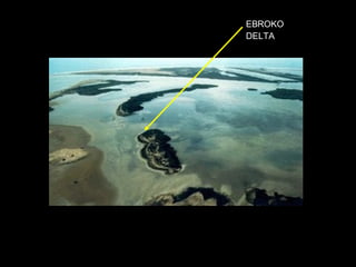 EBROKO DELTA 