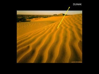 DUNAK 
