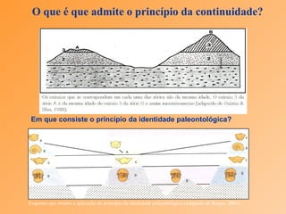 O que é que admite o princípio da continuidade? Em que consiste o princípio da identidade paleontológica? Esquema que mostra a aplicação do princípio da identidade paleontológica (adaptado de Roque, 2001). 
