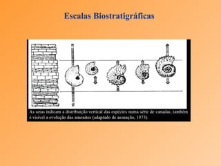Escalas Biostratigráficas 