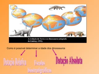 Como é possível determinar a idade dos dinossauros Datação Relativa Escalas  biostratigráficas Datação Absoluta 