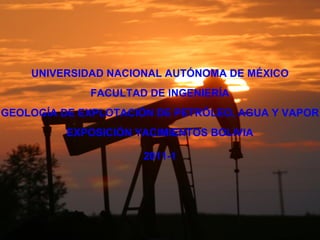 UNIVERSIDAD NACIONAL AUTÓNOMA DE MÉXICO
FACULTAD DE INGENIERÍA
GEOLOGÍA DE EXPLOTACIÓN DE PETRÓLEO, AGUA Y VAPOR
EXPOSICIÓN YACIMIENTOS BOLIVIA
2011-1
 