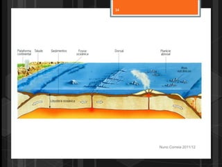 Nuno Correia 2011/12
34
 