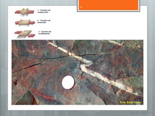 4




    Nuno Correia 11/12
 